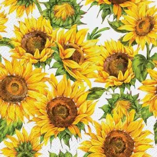 Assorted 20-Pack Lunch Napkins (11 Styles)