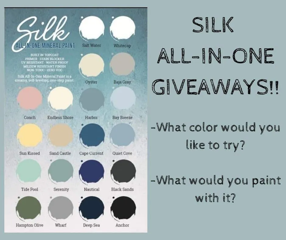 Baja Gray - Silk Collection - Dixie Belle Paint Company