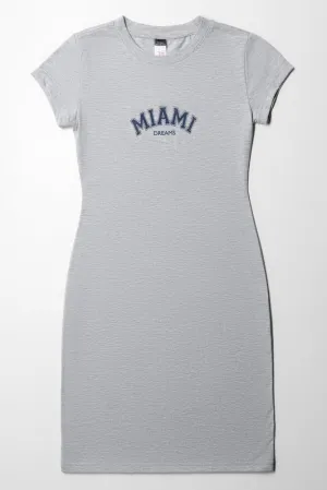 Bodycon Sleeved Dress Grey
