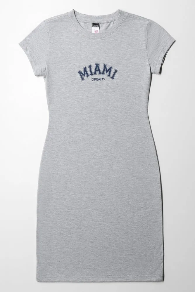 Bodycon Sleeved Dress Grey