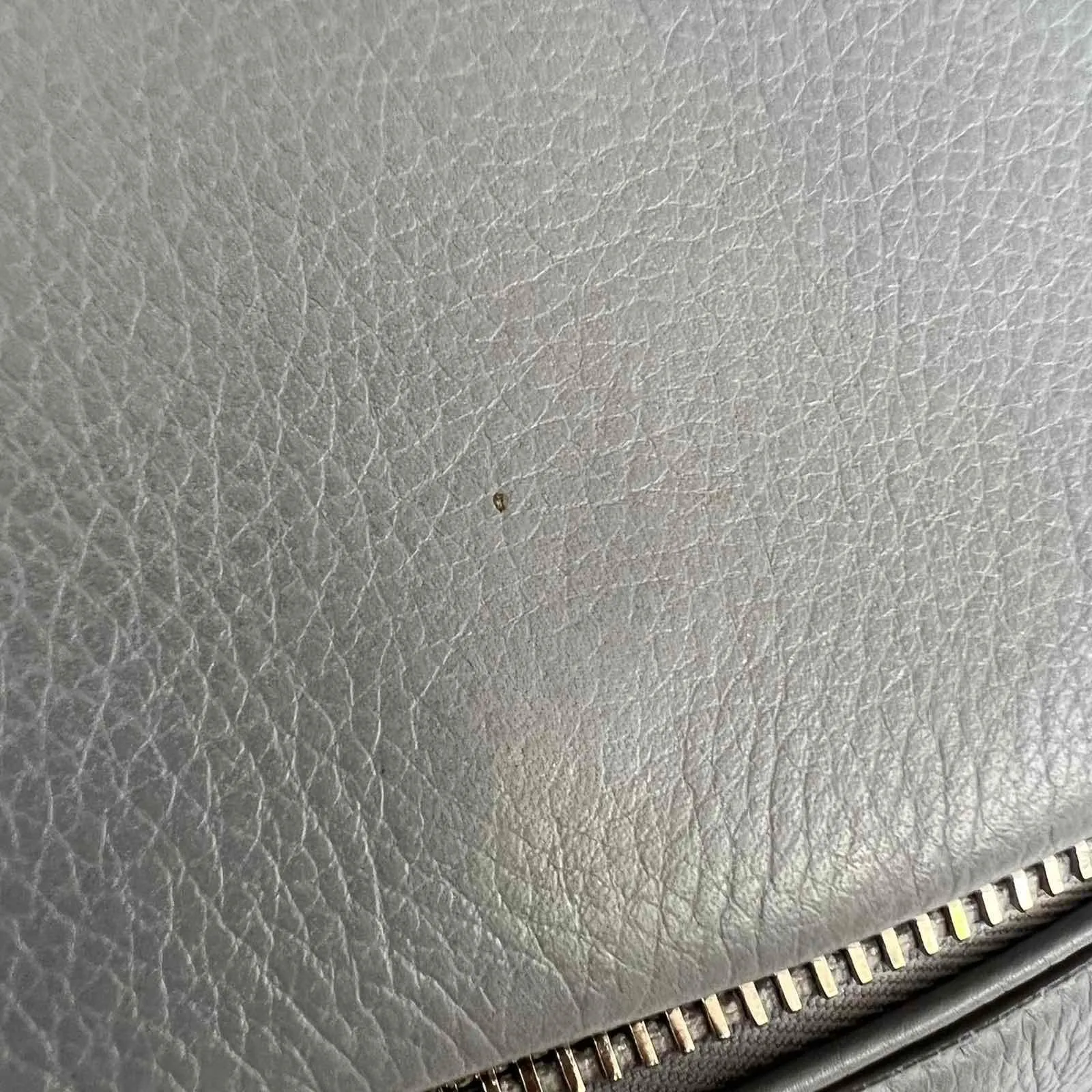 Pandora Pure Flap