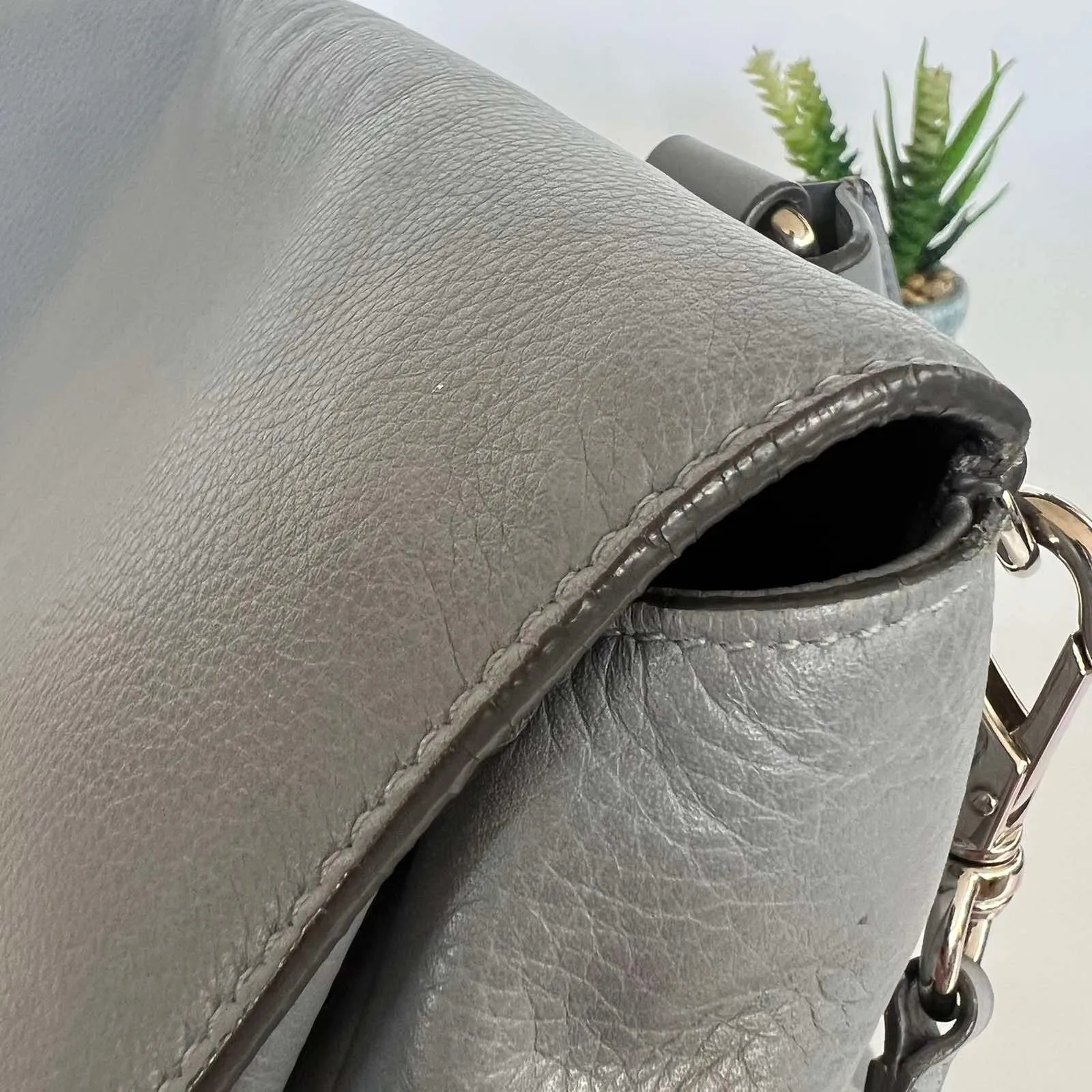 Pandora Pure Flap